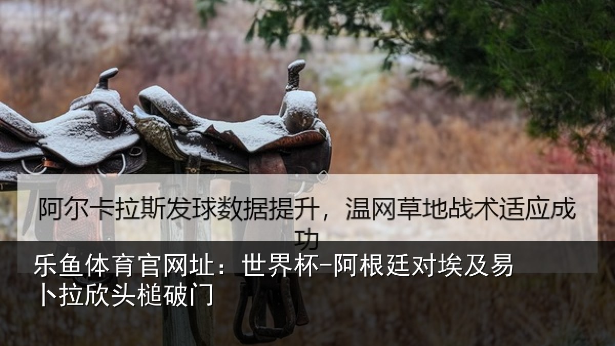 乐鱼体育官网址：世界杯-阿根廷对埃及易卜拉欣头槌破门