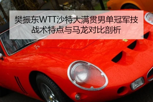 fan-zhen-dong-sha-te-da-man-guan-nan-dan-guan-jun-ji-zhan-shu-te-dian-yu-ma-long-dui-bi-pou-xi-2-456.jpg