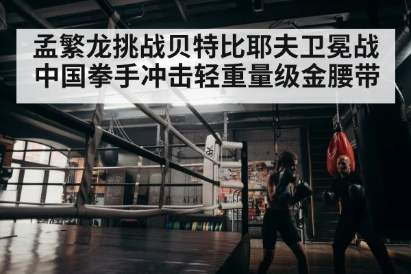 boxer training